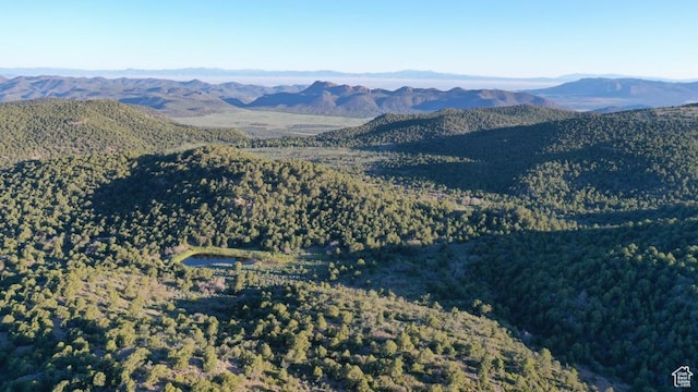 Pine Valley, Ut, UT 84781 - photo 2