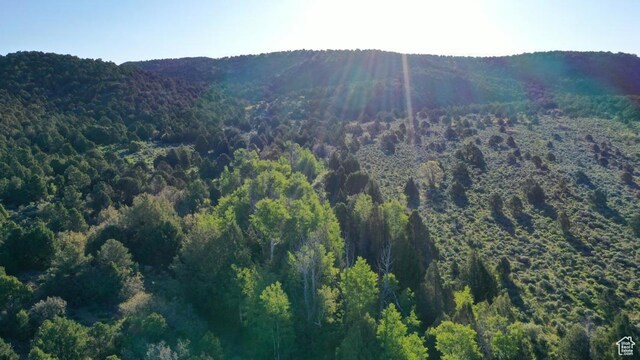 Pine Valley, Ut, UT 84781 - photo 8