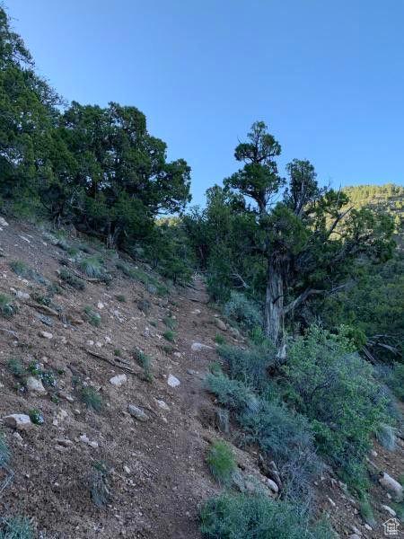 Pine Valley, Ut, UT 84781 - photo 15