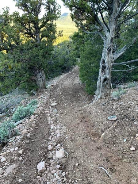 Pine Valley, Ut, UT 84781 - photo 13