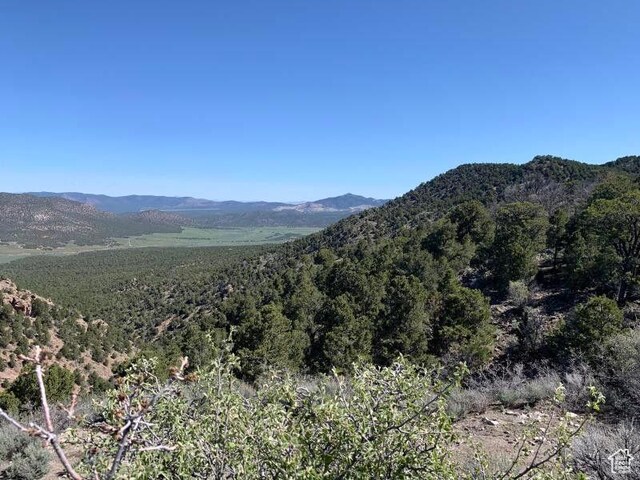 Pine Valley, Ut, UT 84781 - photo 64