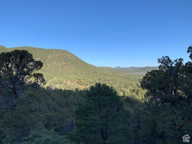 Pine Valley, Ut, UT 84781 - photo 11