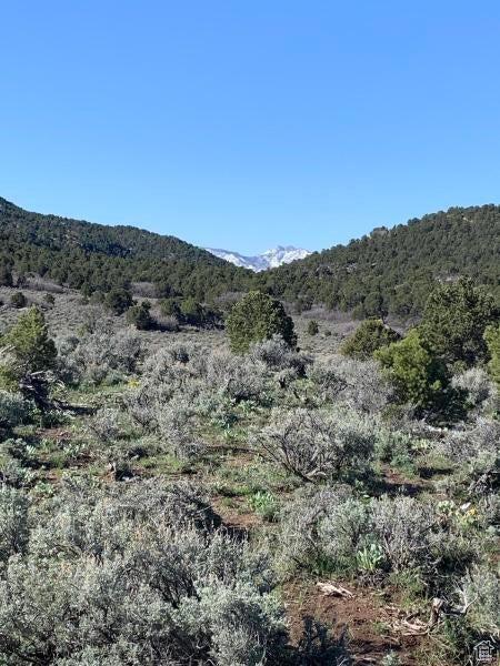 Pine Valley, Ut, UT 84781 - photo 70