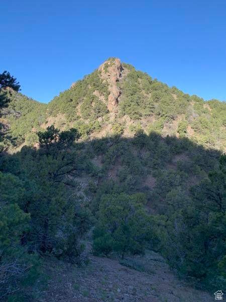 Pine Valley, Ut, UT 84781 - photo 22