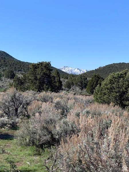 Pine Valley, Ut, UT 84781 - photo 45