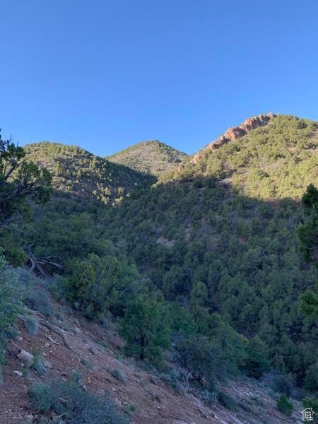Pine Valley, Ut, UT 84781 - photo 14