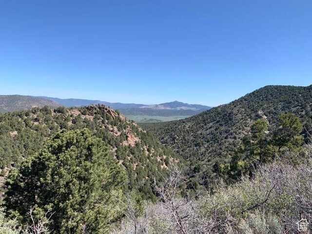 Pine Valley, Ut, UT 84781 - photo 65