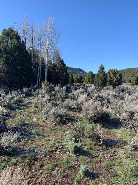 Pine Valley, Ut, UT 84781 - photo 29