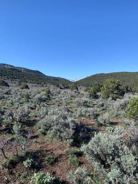 Pine Valley, Ut, UT 84781 - photo 35