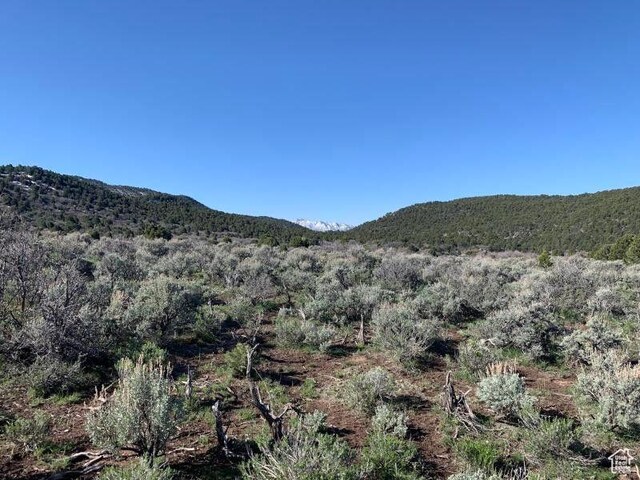 Pine Valley, Ut, UT 84781 - photo 38