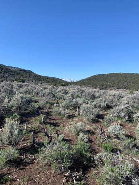 Pine Valley, Ut, UT 84781 - photo 39