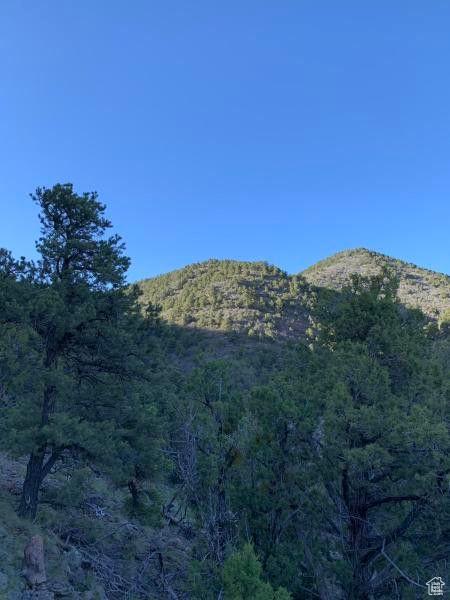 Pine Valley, Ut, UT 84781 - photo 18