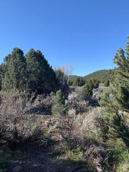 Pine Valley, Ut, UT 84781 - photo 27