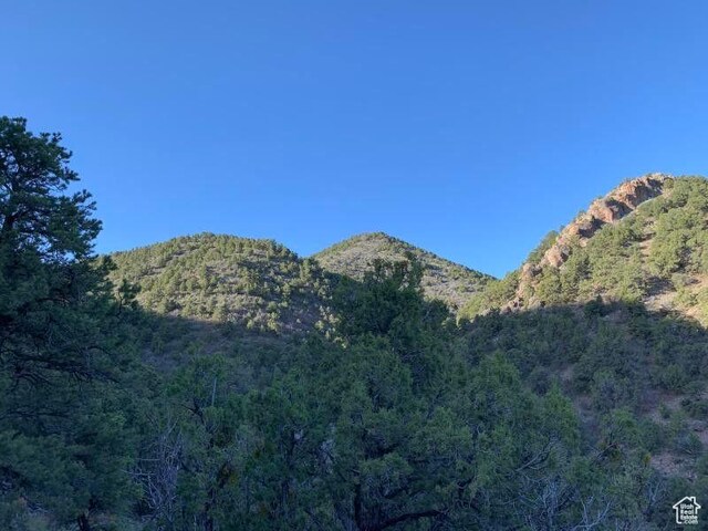 Pine Valley, Ut, UT 84781 - photo 19