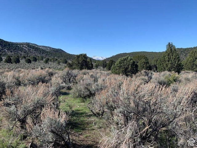 Pine Valley, Ut, UT 84781 - photo 46