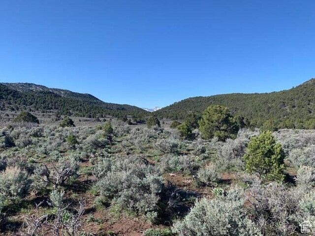 Pine Valley, Ut, UT 84781 - photo 36