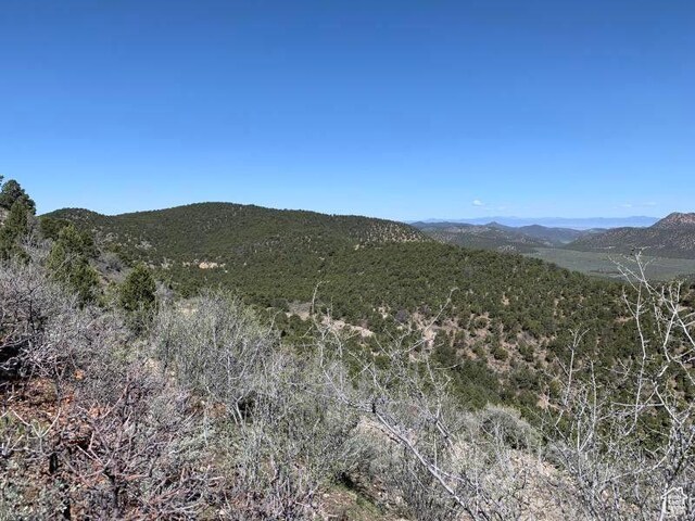 Pine Valley, Ut, UT 84781 - photo 62