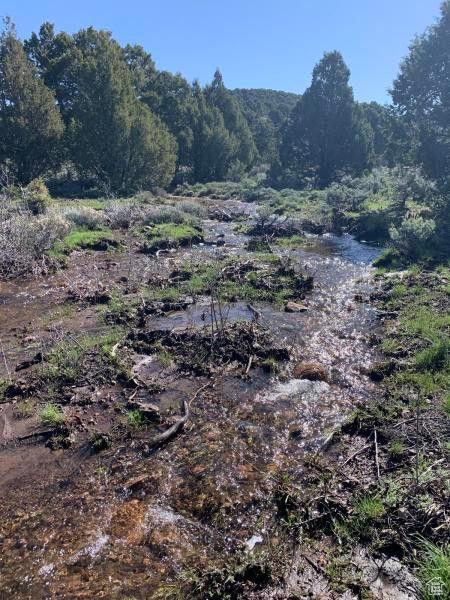 Pine Valley, Ut, UT 84781 - photo 47