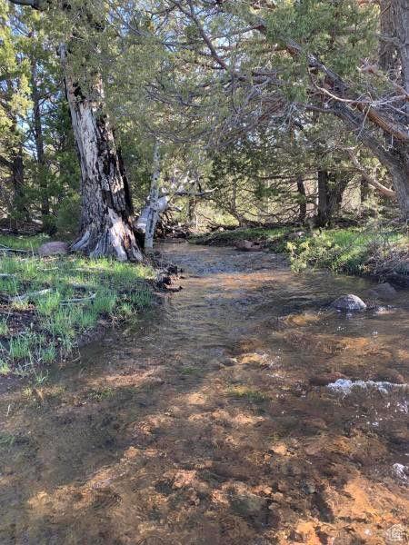 Pine Valley, Ut, UT 84781 - photo 32