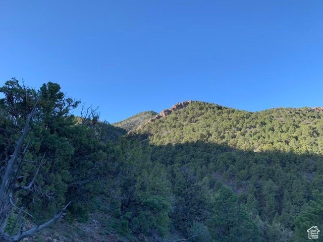 Pine Valley, Ut, UT 84781 - photo 10