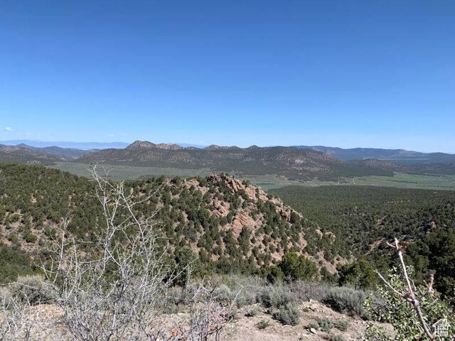 Pine Valley, Ut, UT 84781 - photo 61