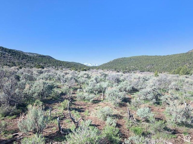 Pine Valley, Ut, UT 84781 - photo 67