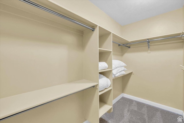 458 E Homespun Cir, Leeds, UT 84746 - walk in closet featuring carpet flooring