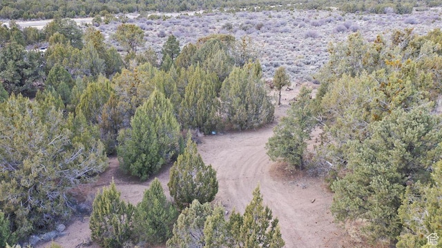 177 E Forest Dr, Central, UT 84722