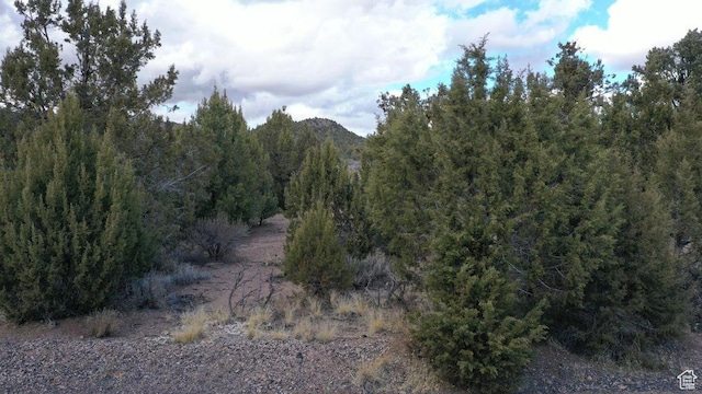177 E Forest Dr, Central, UT 84722