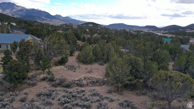177 E Forest Dr, Central, UT 84722