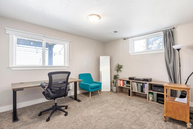 9466 S Indian Ridge Dr E, Sandy, UT 84092 - office area featuring carpet and baseboards