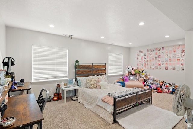 12076 S River Vista Dr W, Riverton, UT 84065 - photo 53