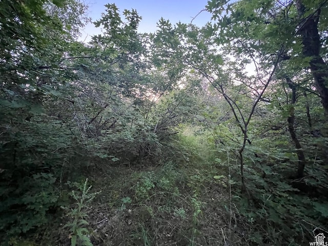 58 Juniper Dr Unit 498, Fish Haven, ID 83287