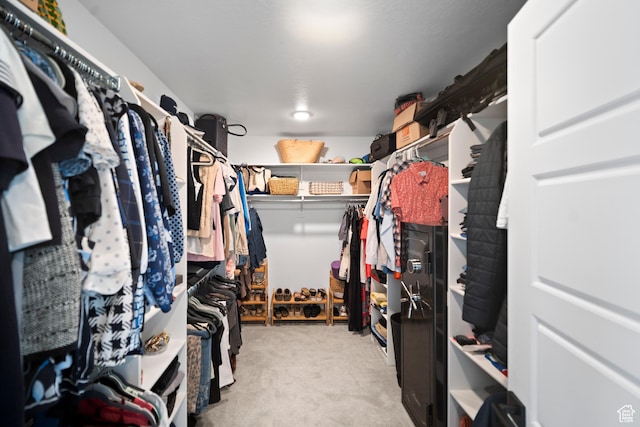 2848 S Preening Way, Saratoga Springs, UT 84045 - spacious closet with carpet