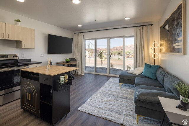 443 W Kane Creek Blvd Unit A206, Moab, UT 84532 - living area featuring dark wood-style floors and recessed lighting