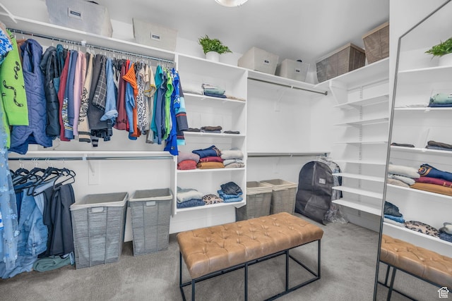2948 S Puddle Ln, Saratoga Springs, UT 84045 - walk in closet with carpet flooring