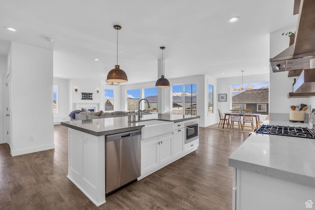 2948 S Puddle Ln, Saratoga Springs, UT 84045 - kitchen with a sink, ventilation hood, dark wood-style flooring, and stainless steel appliances