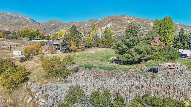 6 Winterthru Way W Unit 6, Midway, UT 84049
