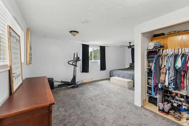 374 S Fairlane, Tooele, UT 84074 - carpeted bedroom featuring a closet