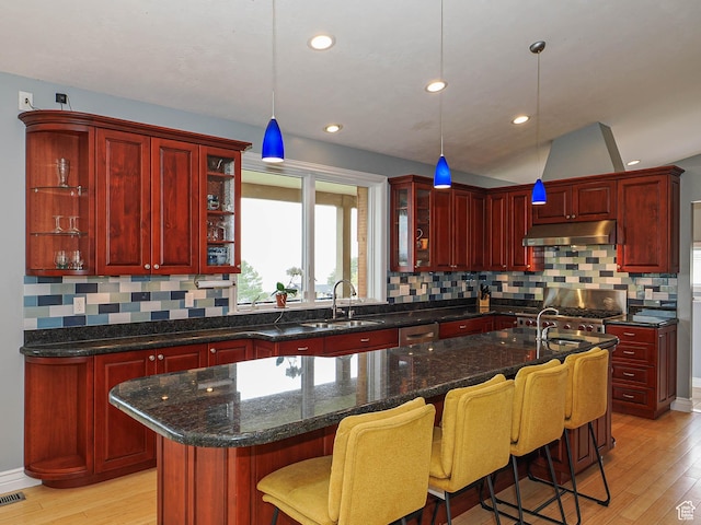 1022 E Northbonneville Dr N, Salt Lake City, UT 84103 - kitchen with reddish brown cabinets, under cabinet range hood, a kitchen island with sink, a sink, and recessed lighting