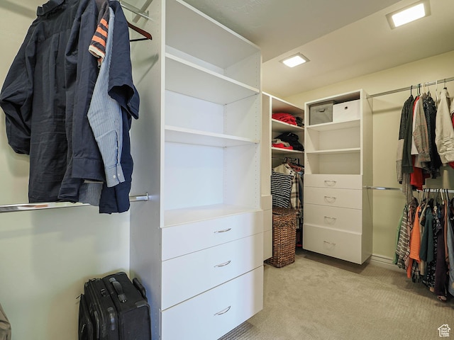 1022 E Northbonneville Dr N, Salt Lake City, UT 84103 - spacious closet with light colored carpet