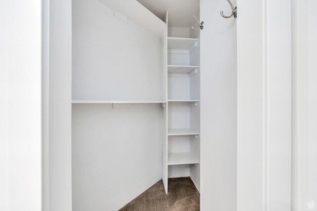 1001 S 400 E, Orem, UT 84097 - walk in closet featuring carpet