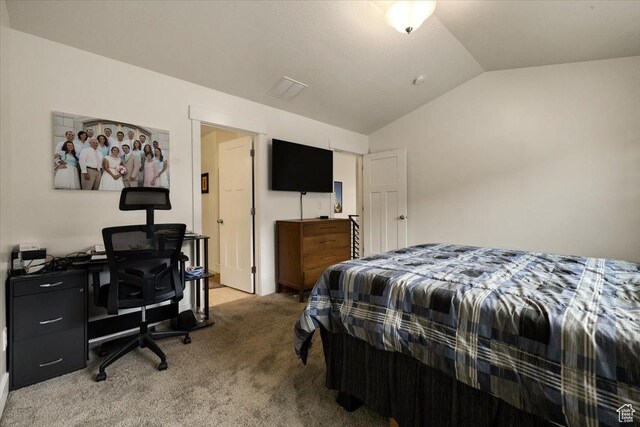 269 W 590 N, Vineyard, UT 84059 - bedroom with vaulted ceiling and carpet