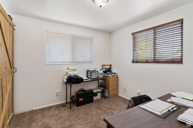 1971 N 3060 W, Clinton, UT 84015 - office featuring baseboards, carpet flooring, and a barn door
