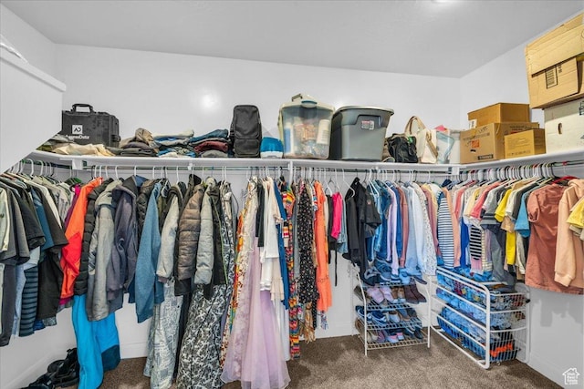 1519 E Honeycomb Dr S, St George, UT 84790 - spacious closet featuring carpet floors