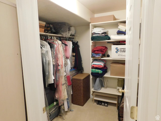 spacious closet with carpet