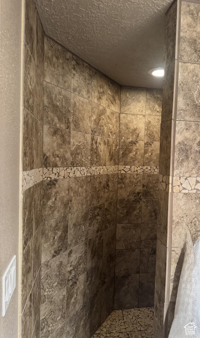 75 S Cooley St W, Grantsville, UT 84029 - full bathroom featuring a tile shower and a textured ceiling