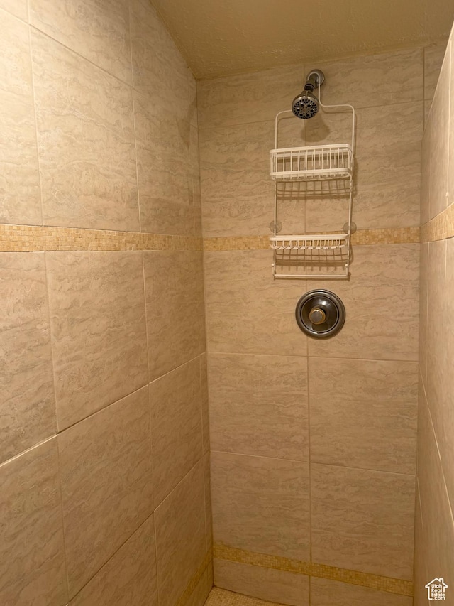 75 S Cooley St W, Grantsville, UT 84029 - bathroom featuring tiled shower