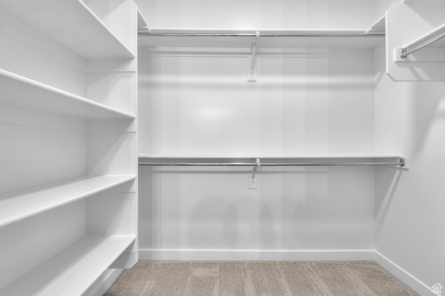 3903 W Red Clover Dr, Lehi, UT 84043 - walk in closet with carpet flooring