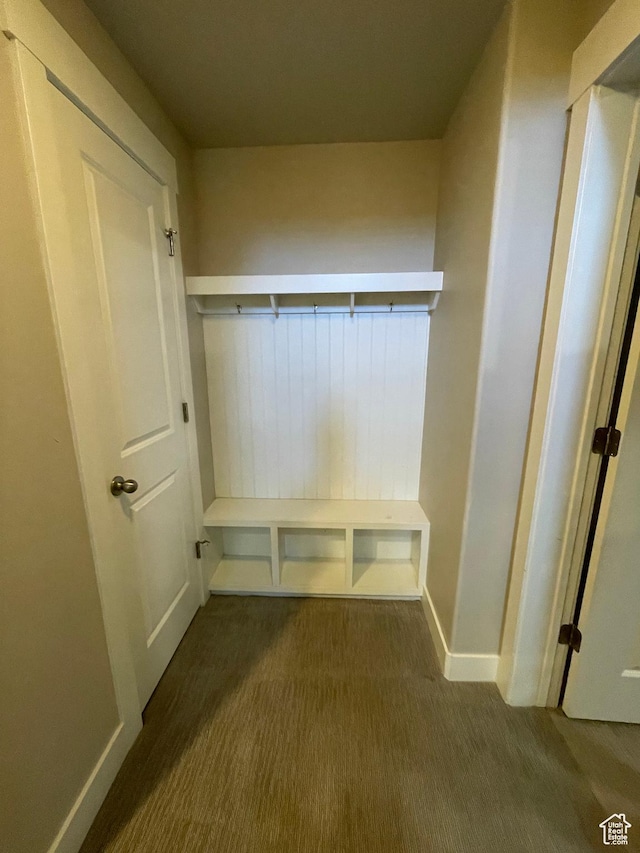 mudroom with baseboards and carpet floors